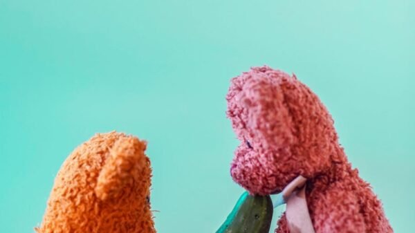 conceptual sex art