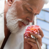 Older man with white beard gently smelling a pink flower, reflecting on love and second chances later in life