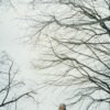 Mature couple embracing in a snowy landscape, expressing warmth, trust, and emotional closeness