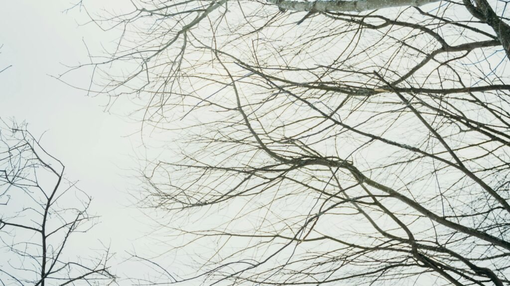 Mature couple embracing in a snowy landscape, expressing warmth, trust, and emotional closeness