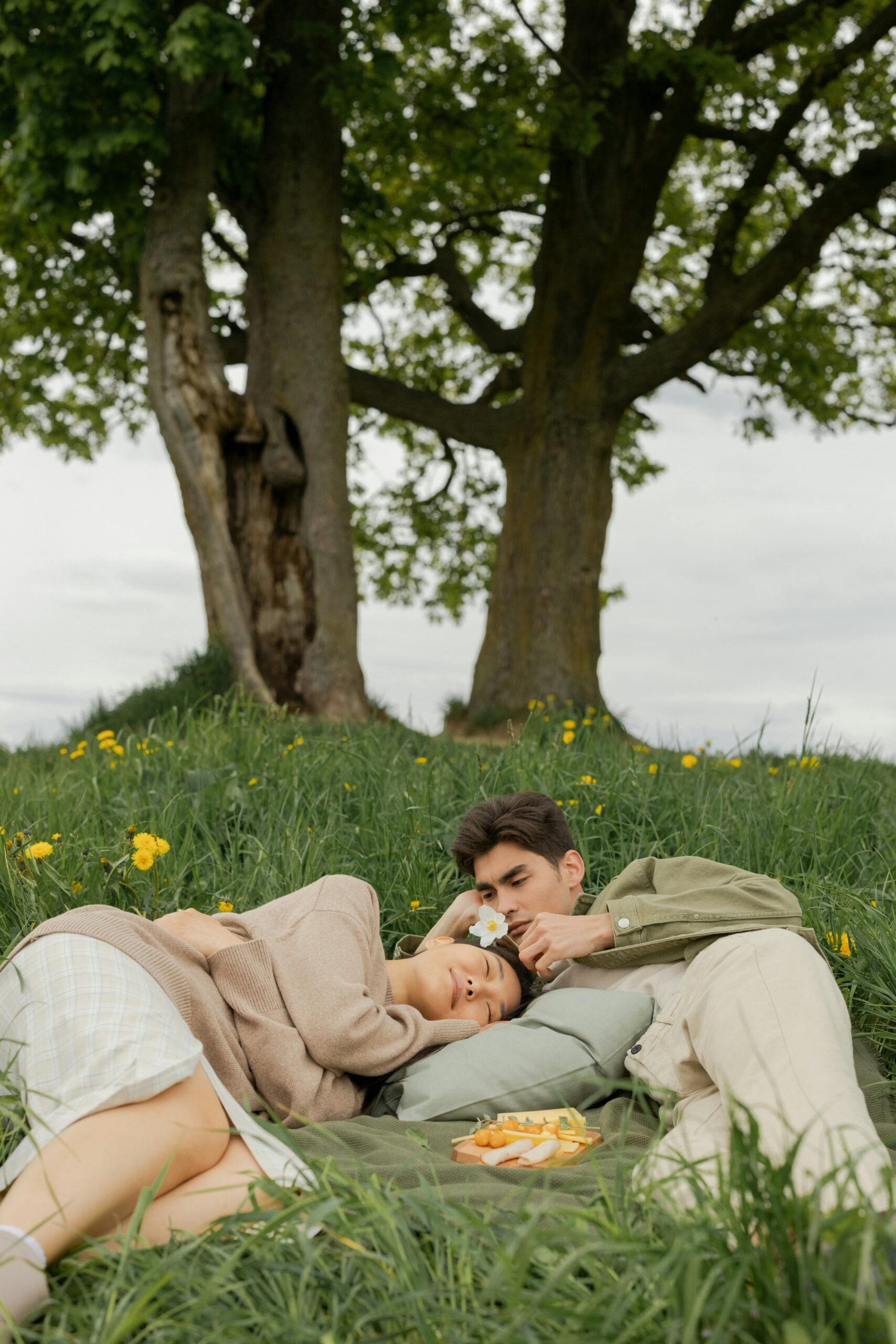 Couple lying together on a blanket in a grassy field beneath trees, sharing a quiet and intimate moment surrounded by nature