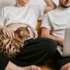Couple relaxing on a couch at home, sharing a quiet moment with a cat resting on their lap while one partner works on a laptop