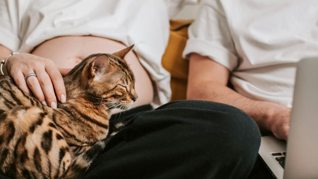 Couple relaxing on a couch at home, sharing a quiet moment with a cat resting on their lap while one partner works on a laptop