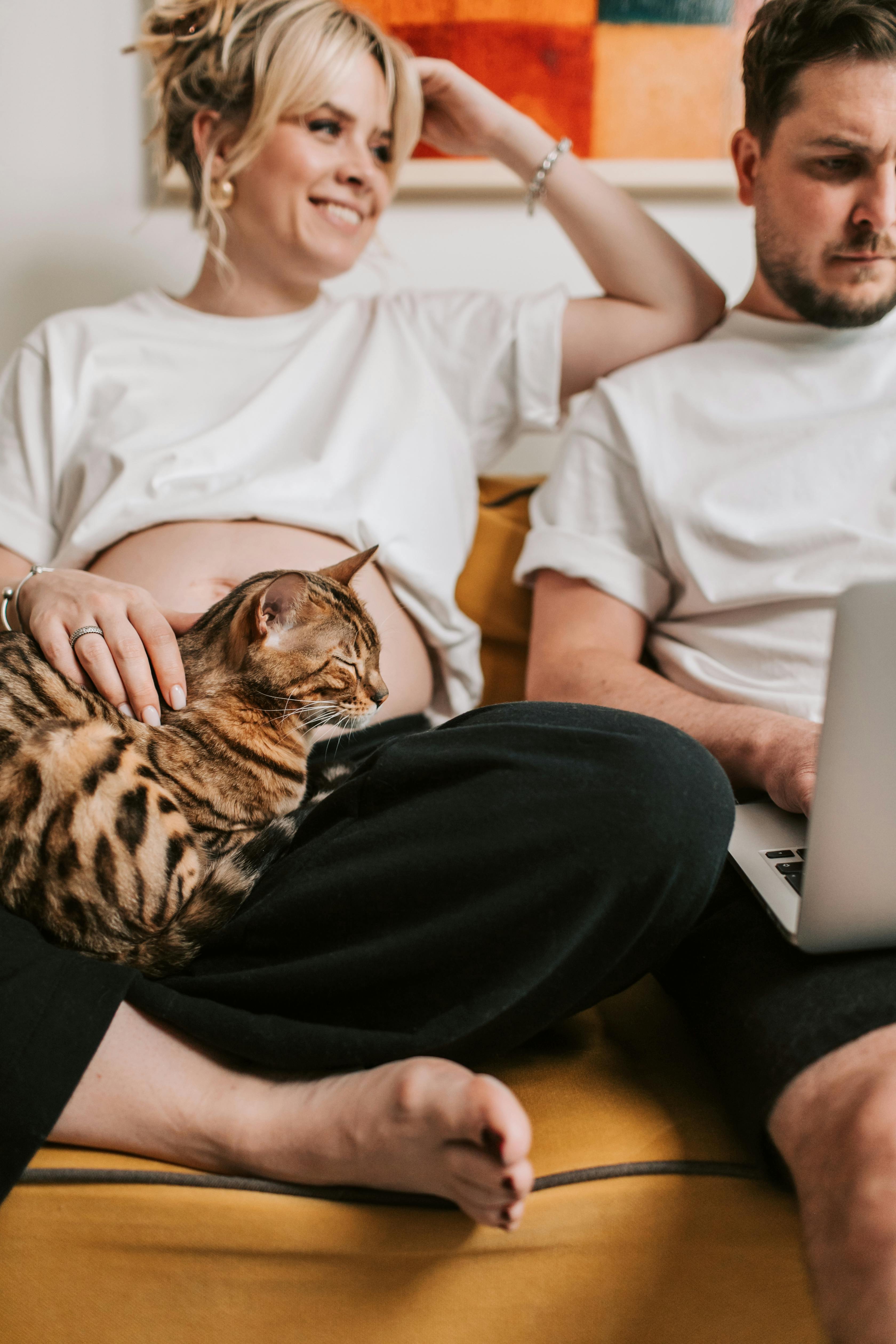 Couple relaxing on a couch at home, sharing a quiet moment with a cat resting on their lap while one partner works on a laptop